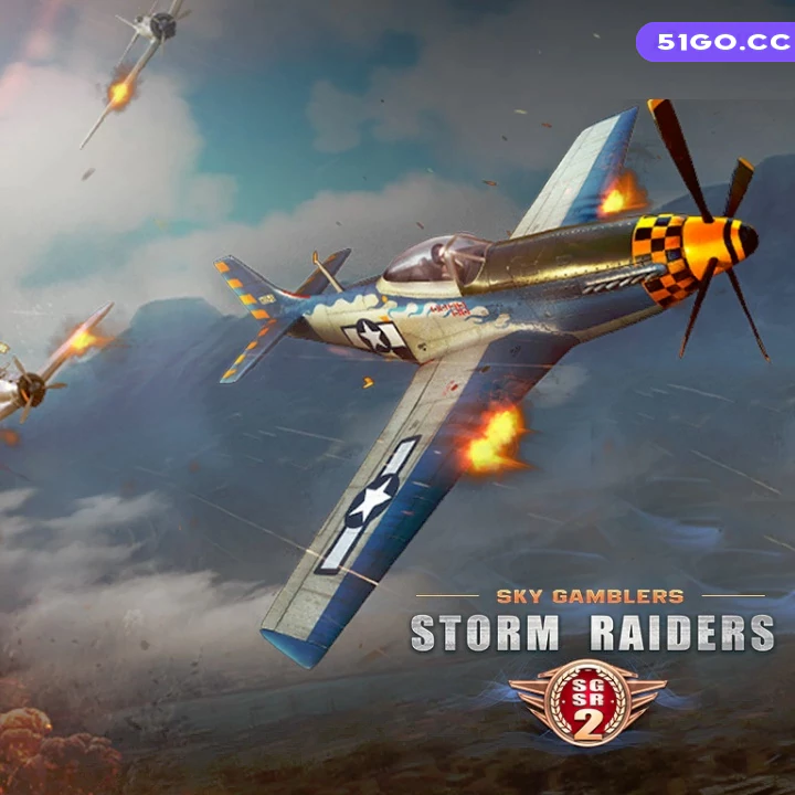 搏击长空：风暴突击队 2