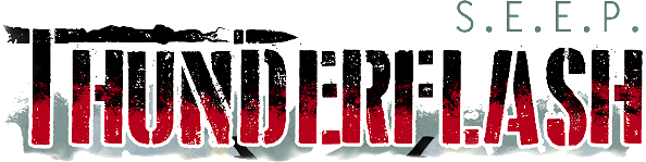 图片[1] | 《闪电行动》 | 好玩游戏