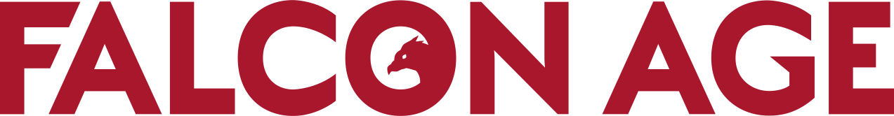 图片[1] | 《猎鹰纪元》 | 好玩游戏