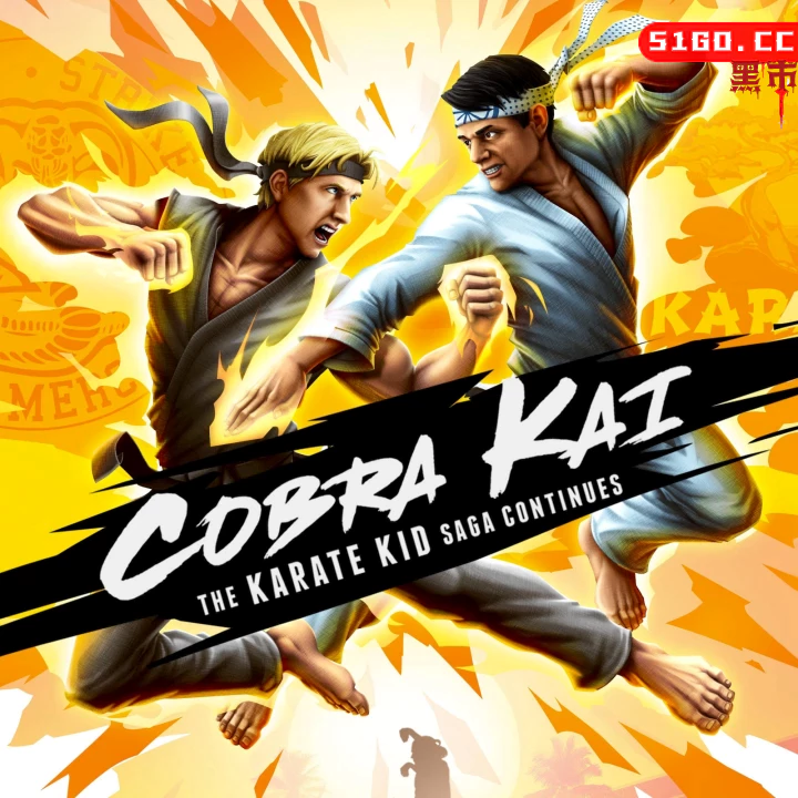 眼镜蛇 凯：空手道小子再续传奇