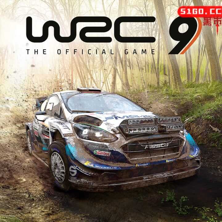 国际汽车联盟世界拉力锦标赛 9