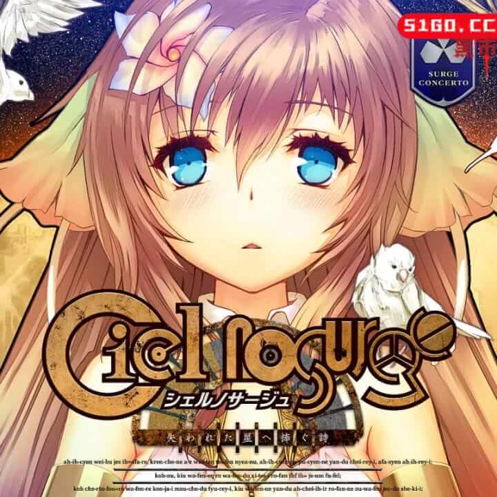 浪涌协奏曲～献给失落之星的歌DX.Ciel Nosurge