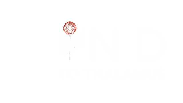 心智 视丘之径 | MIND: Path to Thalamus