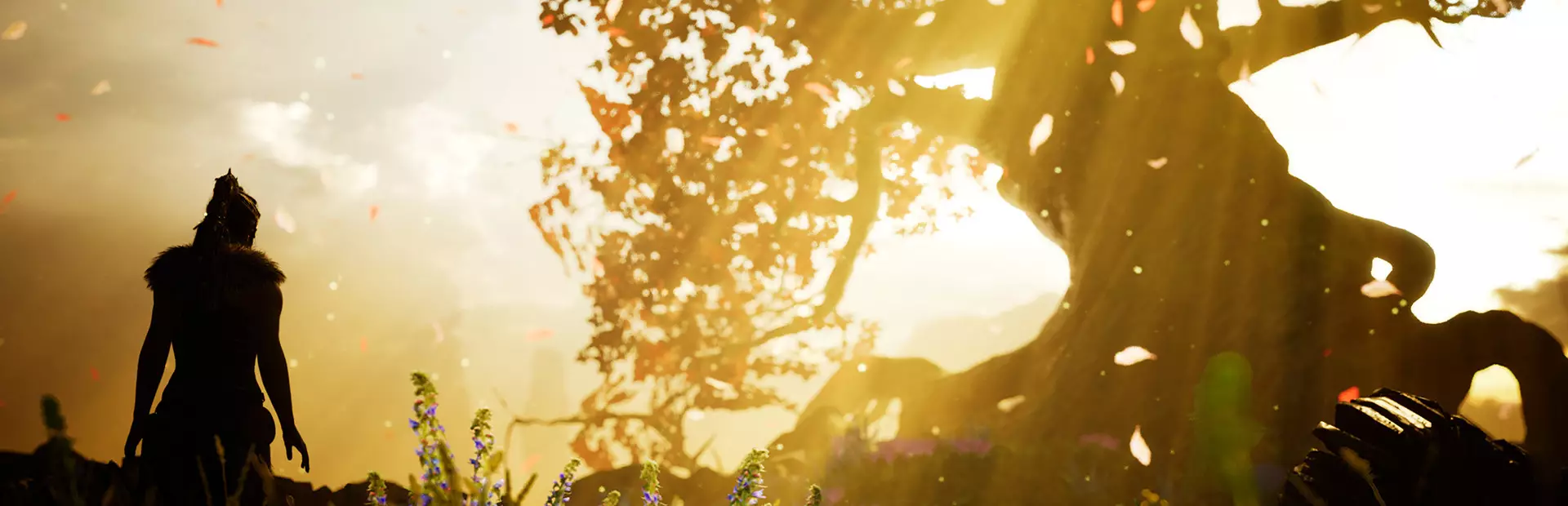 地狱之刃：塞娜的献祭