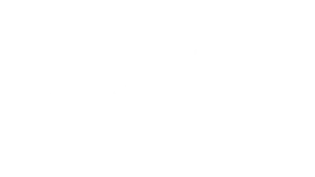 塞巴斯蒂安・勒布拉力赛 进化 | Sébastien Loeb Rally Evo