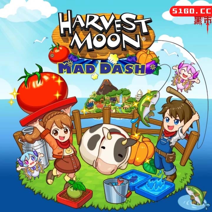 牧场物语：疯狂冲刺 