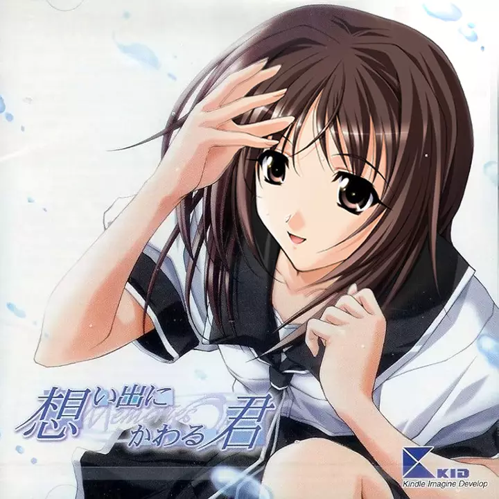 告别回忆 3 ～想君～