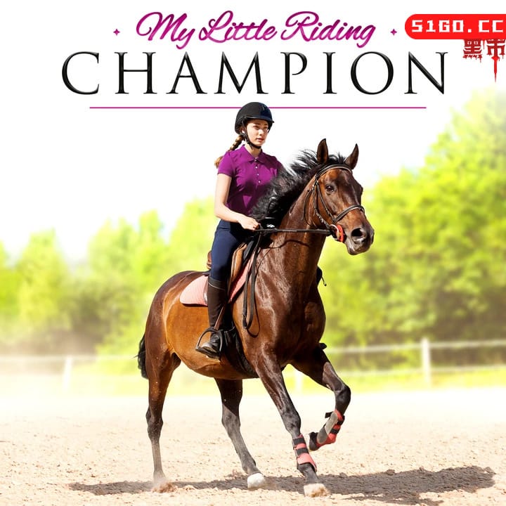 马术俱乐部冠军