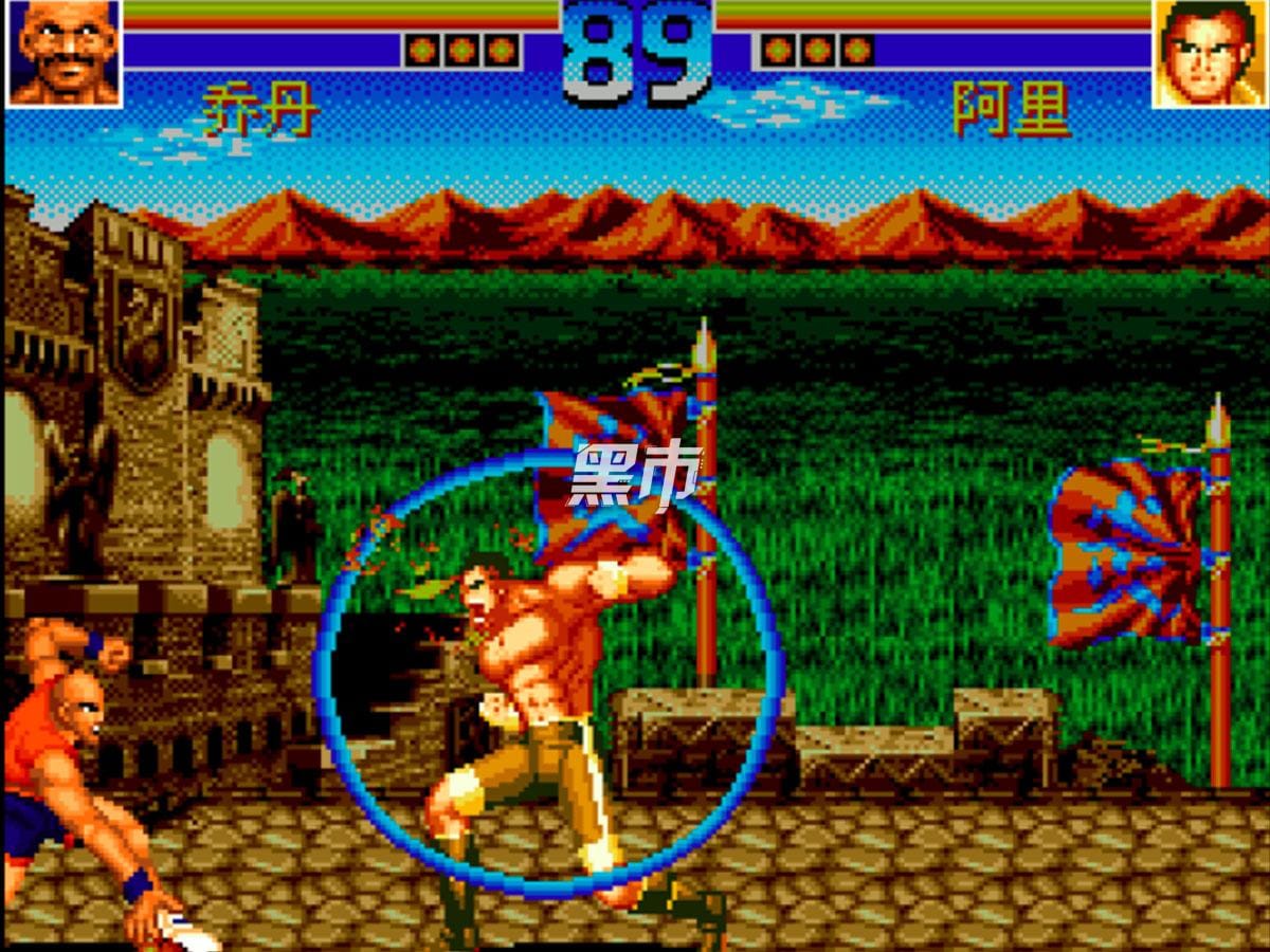 格斗王-Top Fighter 2005 -游戏截图-好玩游戏库