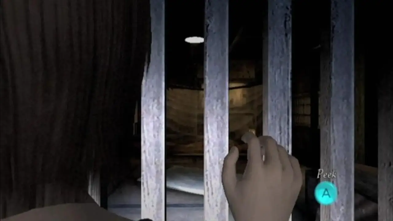 零～红蝶 for Wii -Fatal Frame 2: Wii Edition-游戏截图-好玩游戏库