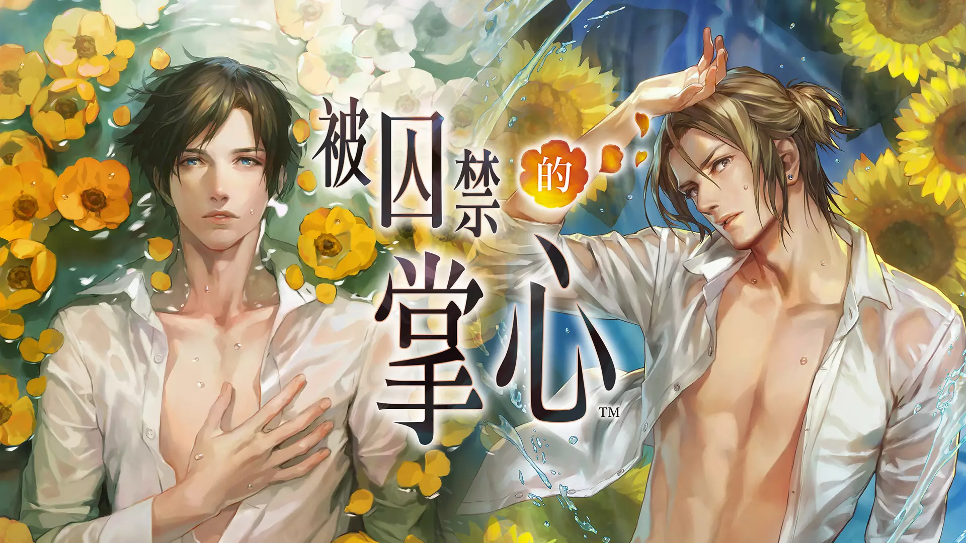 被囚禁的掌心-Toraware no Palm-游戏截图-好玩游戏库