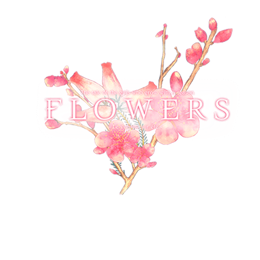 Flowers(花)- 夏篇 - | FLOWERS -Le volume sur été- | 好玩