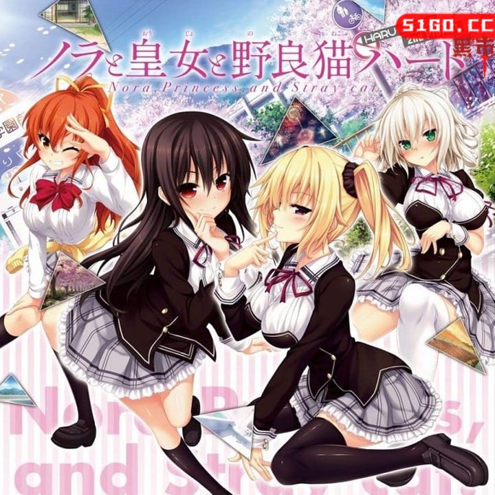 野良和皇女和流浪猫之心 