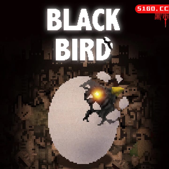 黑鸟