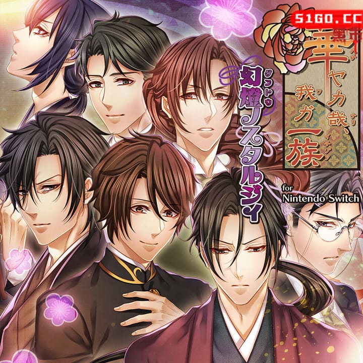 华丽一族：幻灯时代