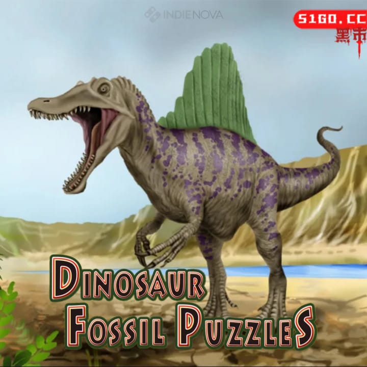 恐龙化石拼图