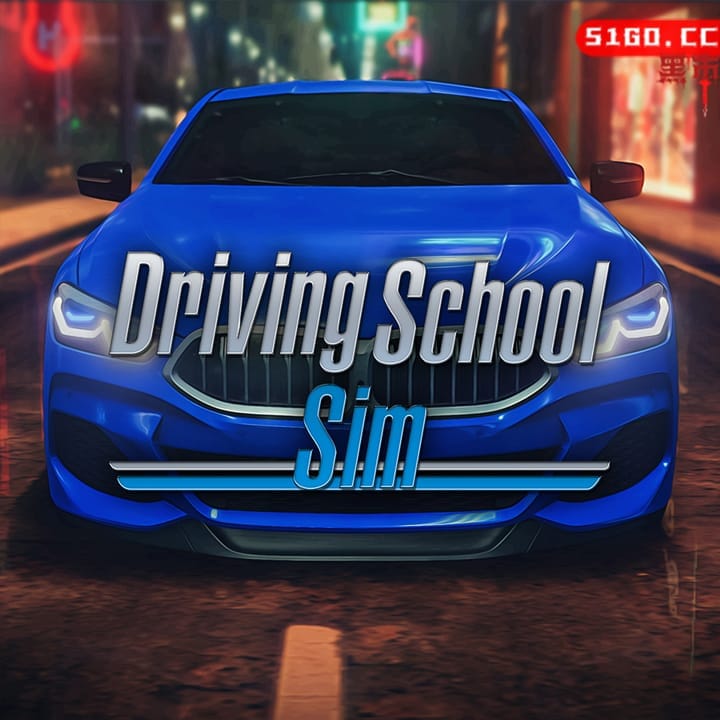 Driving School Sim 