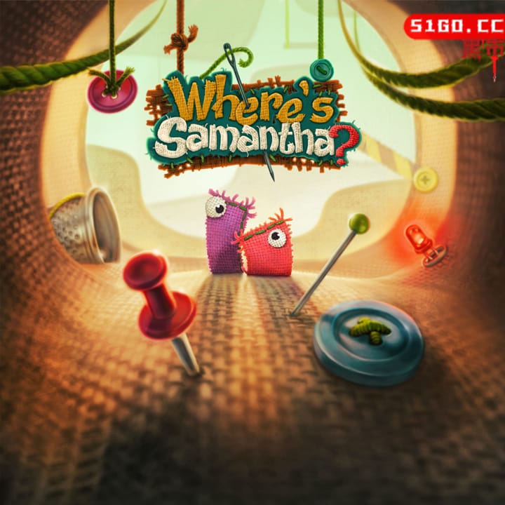 萨曼莎在哪里？