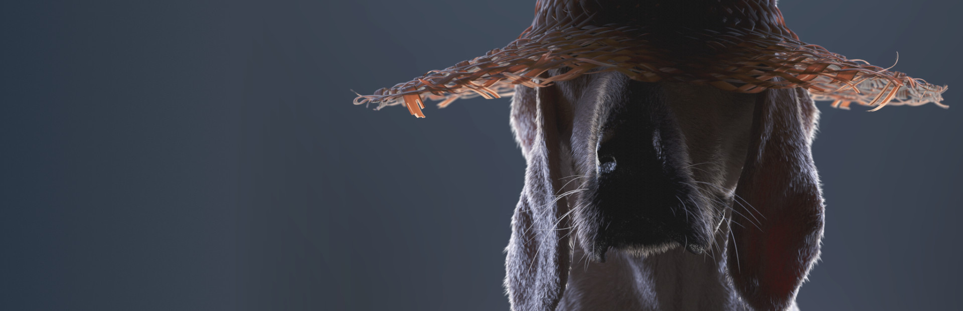 肯塔基零号公路