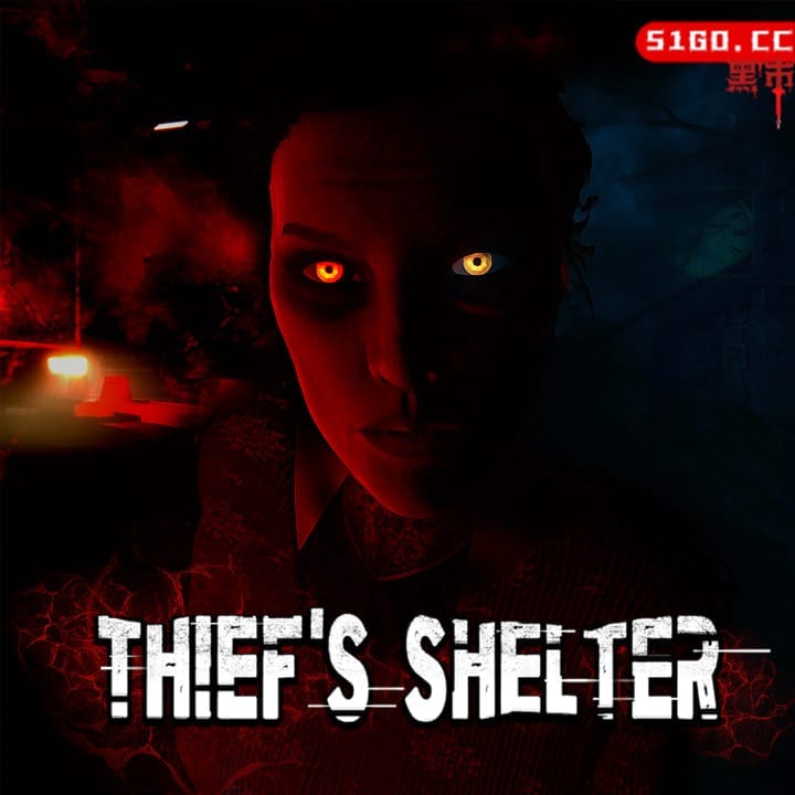 小偷庇护所 