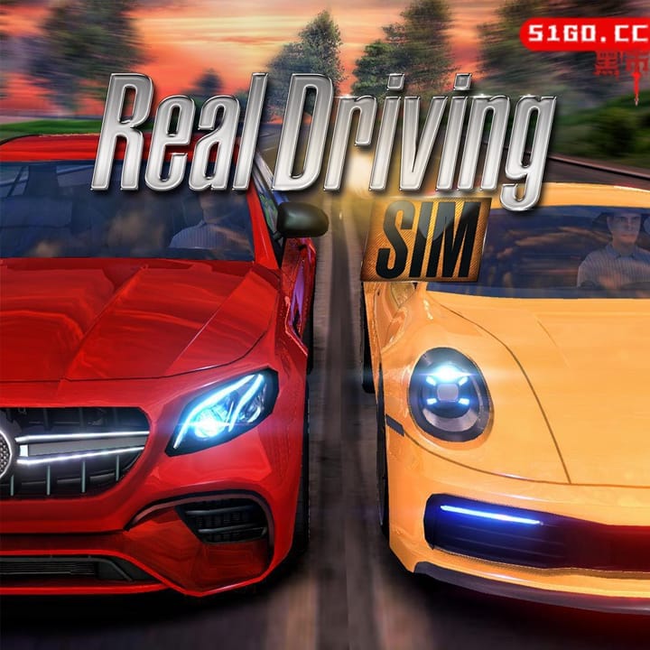 真实驾驶模拟