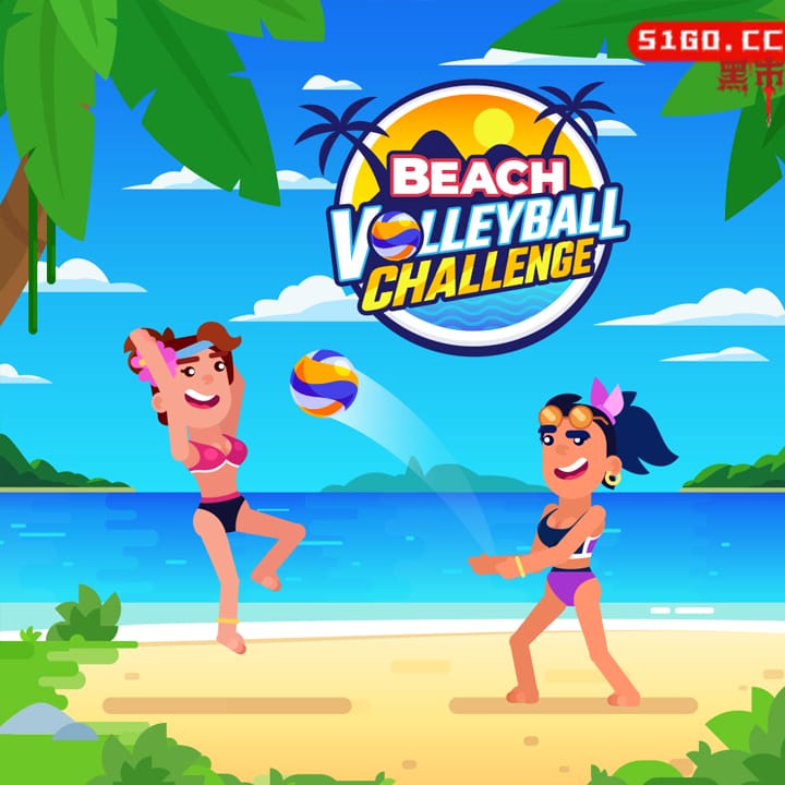 沙滩排球挑战 