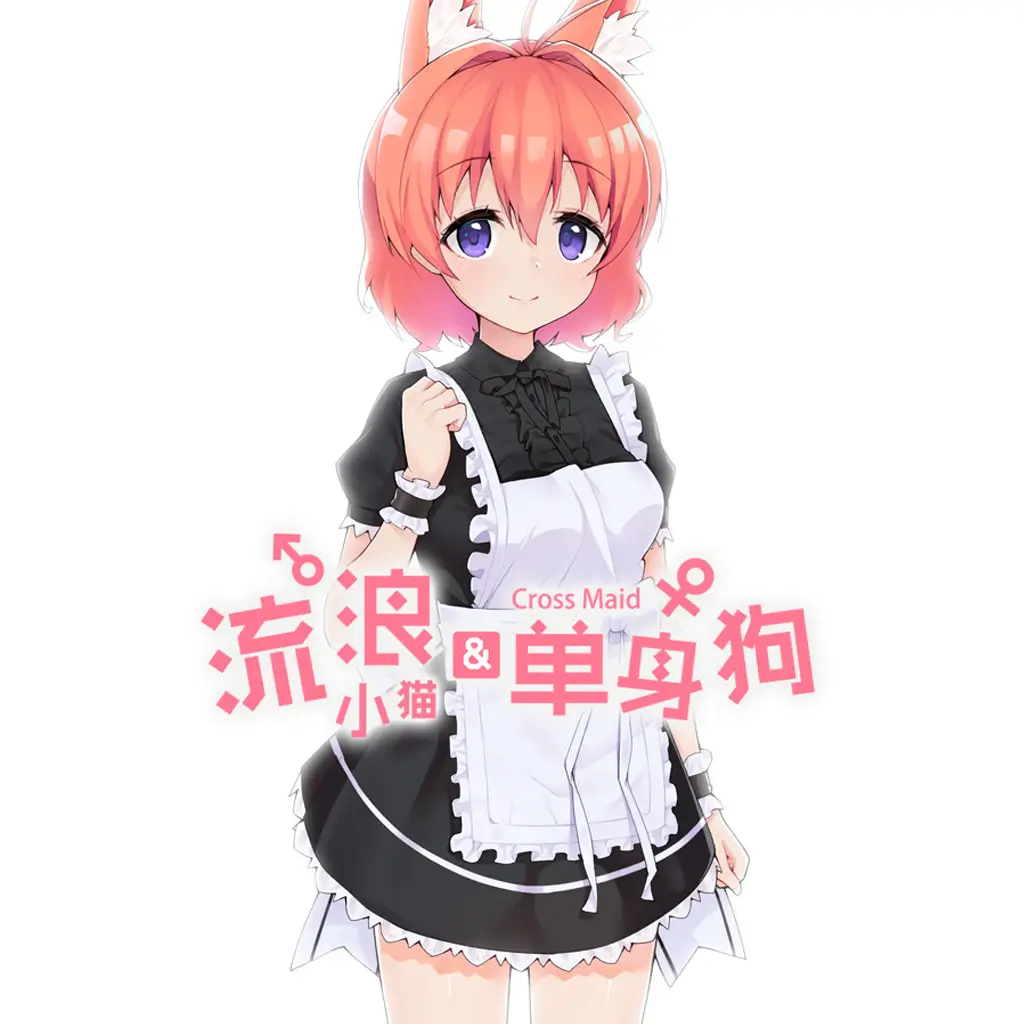 流浪小猫单身狗