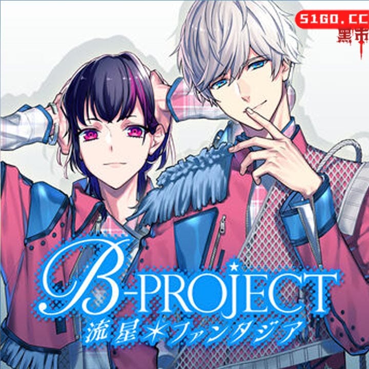 B-PROJECT 流星