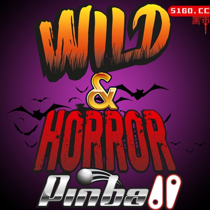 狂野与恐怖弹球