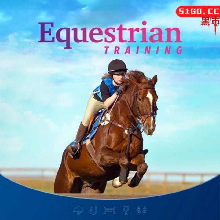 马术训练