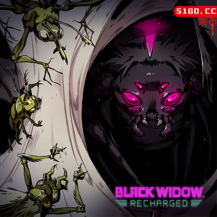 黑寡妇：充能