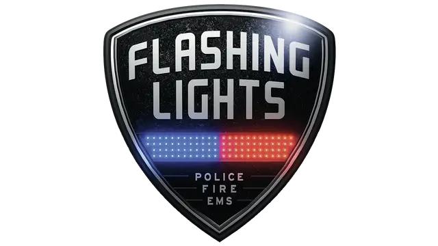 闪烁的警灯：警情，消防，急救 | Flashing Lights: Police Fire EMS