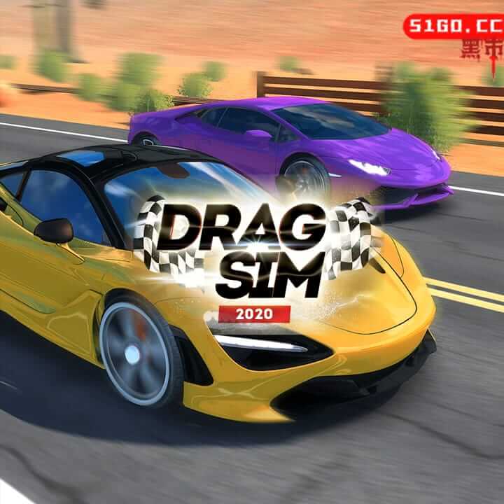 拉力赛车模拟 2020  
