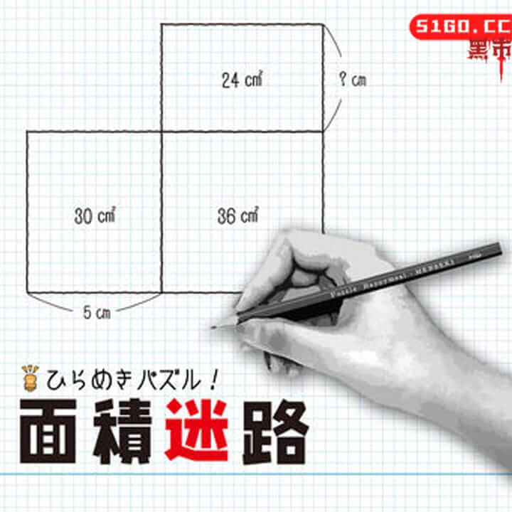 MENSEKI: Area maze puzzles