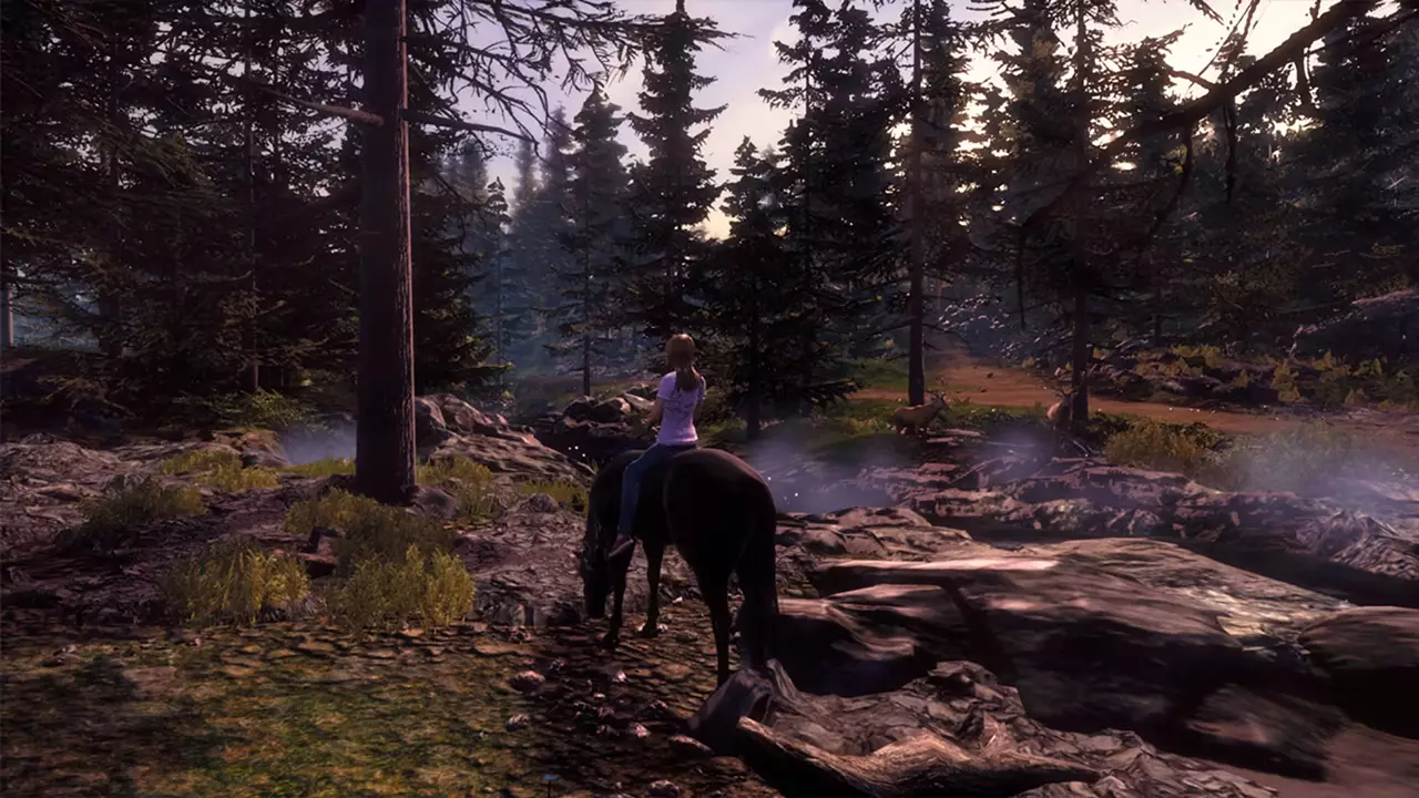 风暴：伟大友谊的开始-Windstorm: Start of a Great Friendship-游戏截图-好玩游戏库