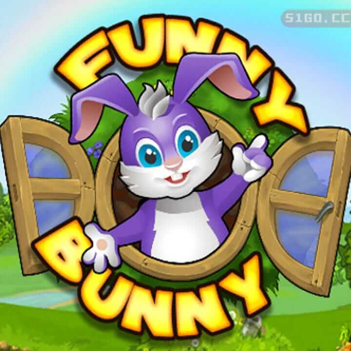 有趣的兔子冒险