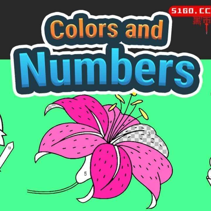 颜色和数字