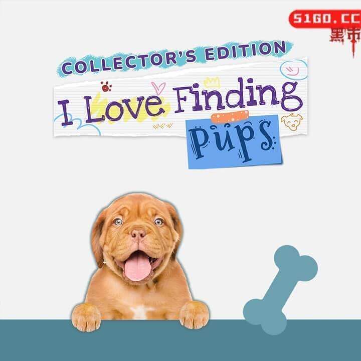 我爱找狗：收藏版