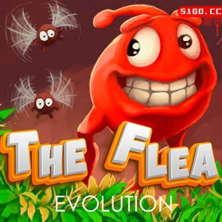 跳蚤进化