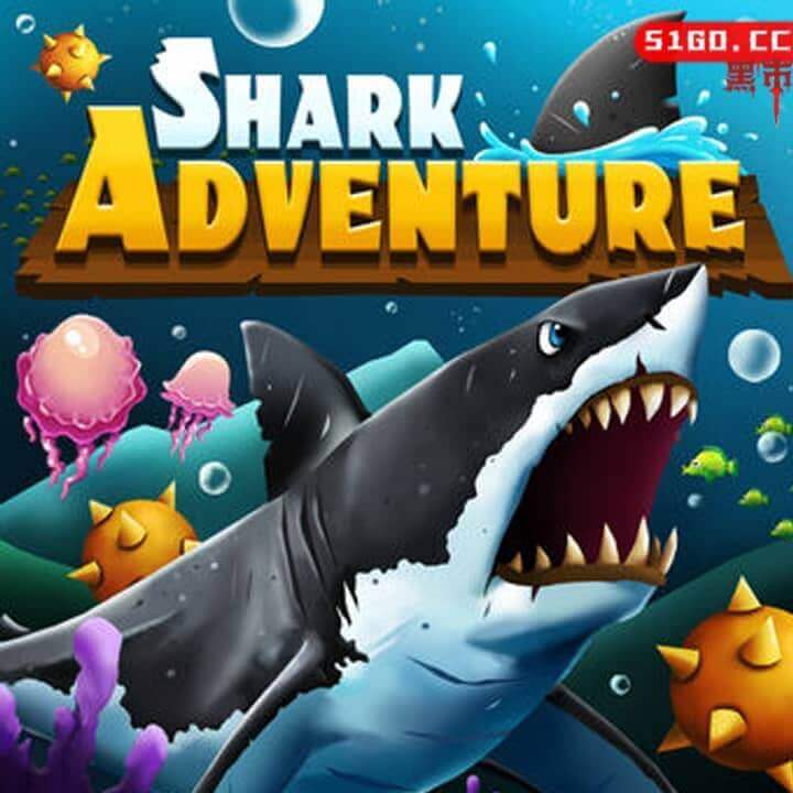 鲨鱼冒险 