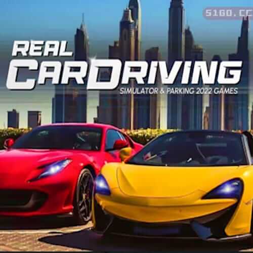 真正的汽车驾驶模拟器和停车 2022 游戏