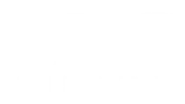 突击: 二战 | RAID: World War II