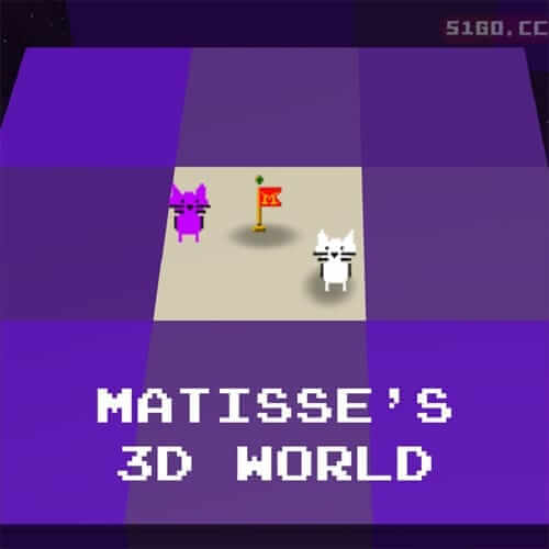 马蒂斯的 3D 世界