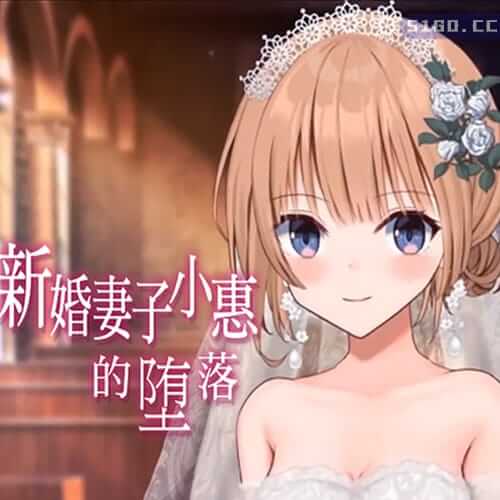 新婚妻子小惠的堕落
