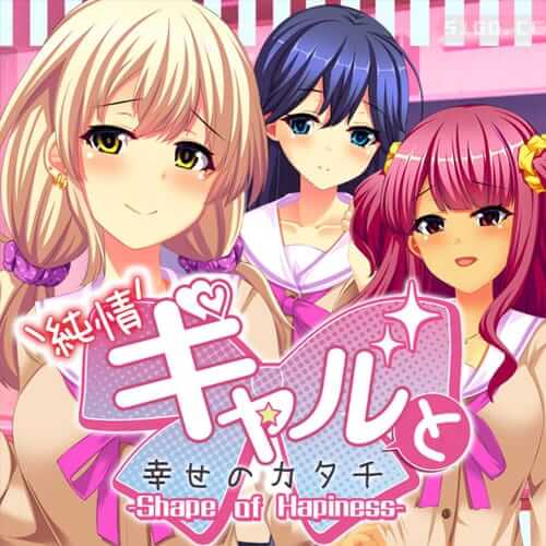 纯情辣妹与幸福的样貌 ～