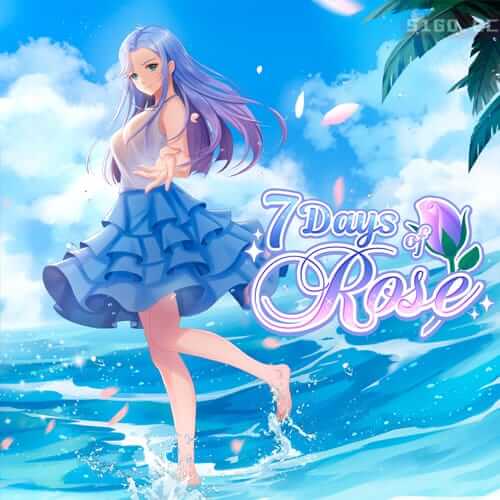 玫瑰七日