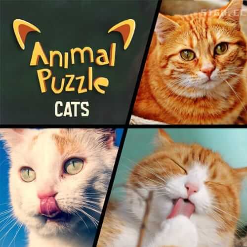 动物拼图：猫