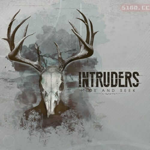 侵入者：捉迷藏