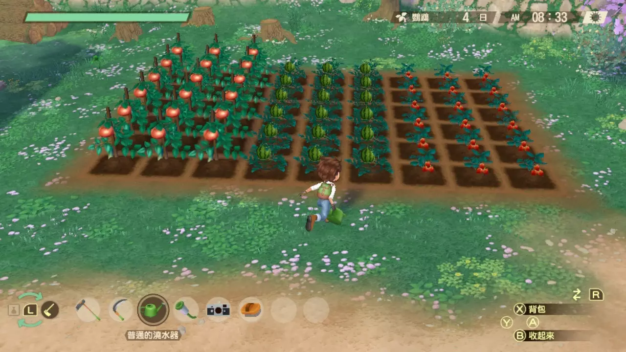 牧场物语 Welcome！美丽人生-Story of Seasons: A Wonderful Life-游戏截图-好玩游戏库