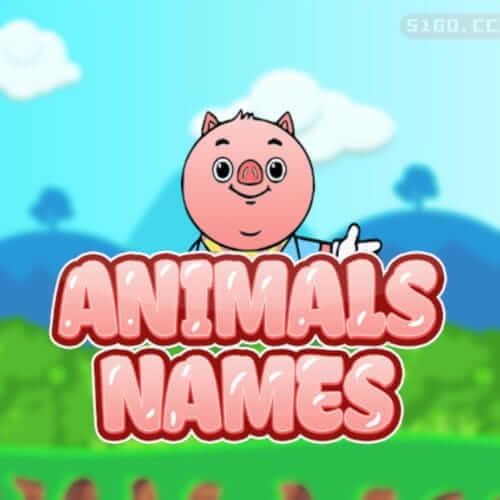 动物名称
